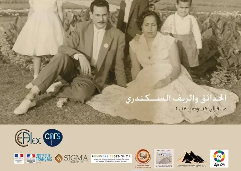 Eltoras Elsakandry